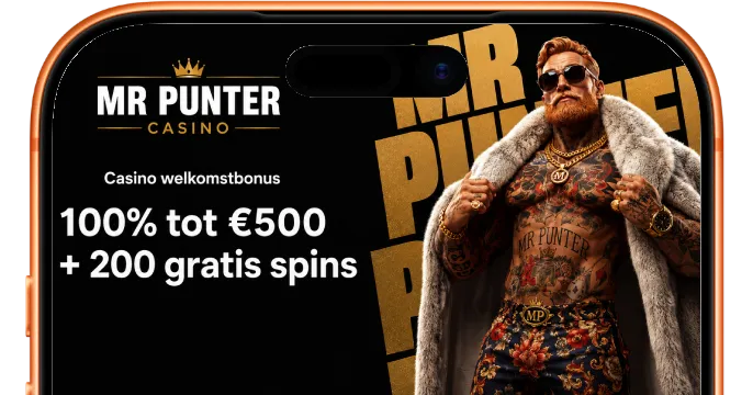 Mr Punter Casino banner
